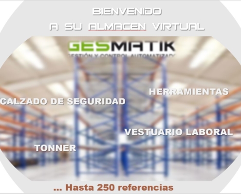 GESMATIK ALMACEN VIRTUAL